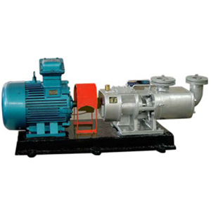 2GaRT-系列高溫粘膠輸送泵圖一產(chǎn)品圖1