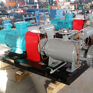 2GaRT-系列高溫粘膠輸送泵圖二產(chǎn)品圖2