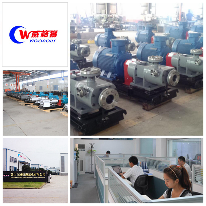 黃山市威格獅泵業(yè)有限公司生產基地